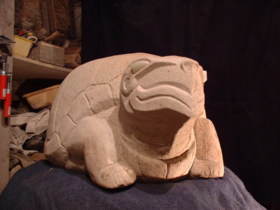 tortue.jpg